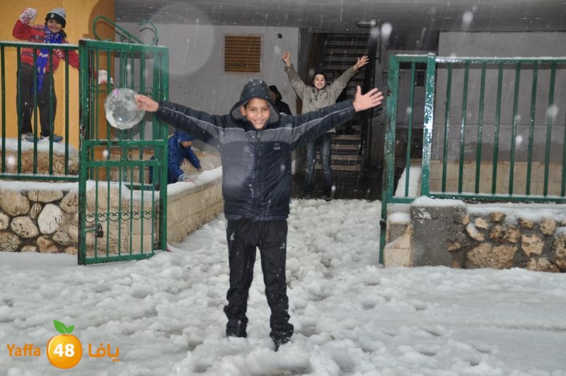 iceman lud 1213 (44).JPG